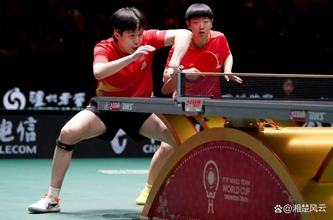 法国队完胜中国队，许昕带队取胜